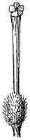 HPN066AD.TIF