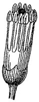 HPN065CA.TIF