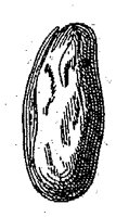 HPN065BU.TIF