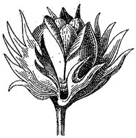 HPN065BQ.TIF