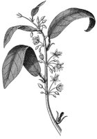 HPN065BL.TIF