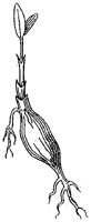 HPN065BE.TIF