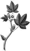 HPN065BC.TIF