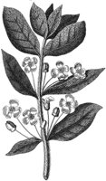 HPN065BA.TIF