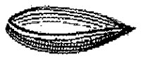 HPN065AV.TIF