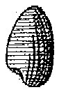 HPN065AO.TIF
