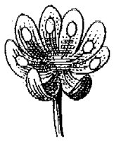 HPN065AM.TIF