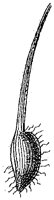 HPN065AI.TIF