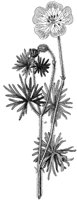 HPN065AB.TIF
