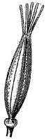HPN065AA.TIF