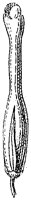 HPN064CF.TIF