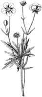 HPN064CC.TIF