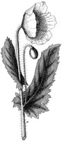 HPN064CA.TIF