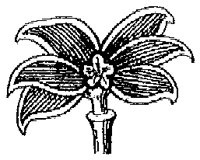 HPN064BZ.TIF