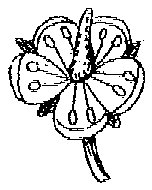 HPN064BV.TIF