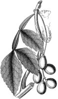HPN064BS.TIF