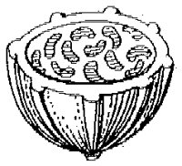 HPN064BQ.TIF