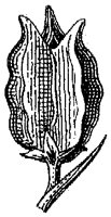 HPN064BM.TIF