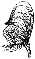 HPN064BL.TIF