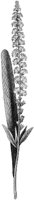 HPN064BJ.TIF