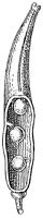 HPN064BI.TIF