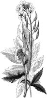 HPN064BH.TIF