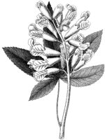 HPN064BC.TIF