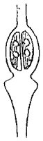 HPN064AZ.TIF