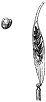 HPN064AX.TIF