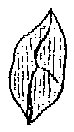 HPN064AR.TIF