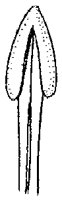 HPN064AH.TIF