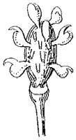 HPN064AG.TIF