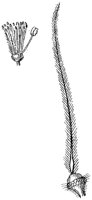 HPN064AC.TIF