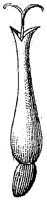 HPN063CE.TIF
