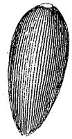 HPN063CA.TIF