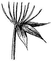 HPN063BU.TIF