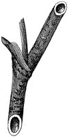 HPN063BL.TIF