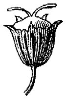 HPN063BC.TIF