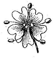 HPN063BA.TIF
