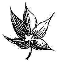 HPN063AZ.TIF
