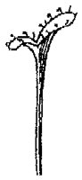 HPN063AU.TIF