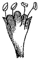 HPN063AT.TIF