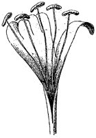 HPN063AG.TIF