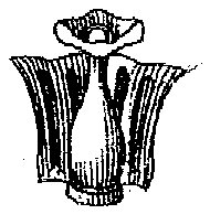 HPN063AD.TIF