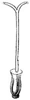 HPN062CU.TIF