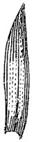 HPN062BU.TIF