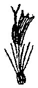 HPN062AU.TIF