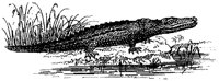 HPN072DC.TIF