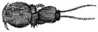 HPN072BH.TIF