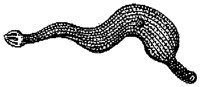HPN072AG.TIF